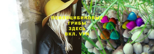 крисы Вязники
