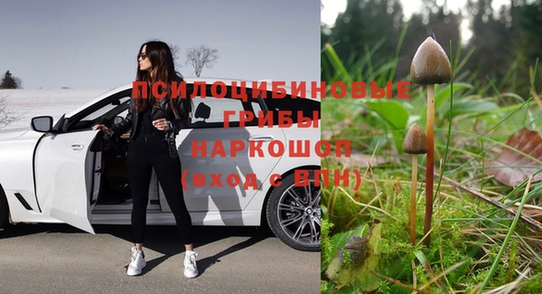 марки nbome Вяземский