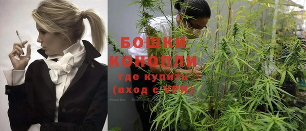 крисы Вязники