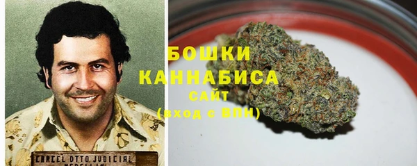 марки nbome Вяземский