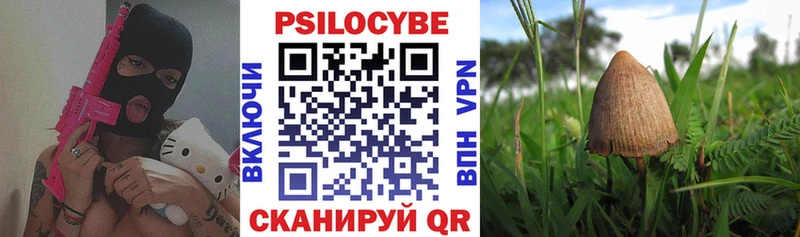 Псилоцибиновые грибы GOLDEN TEACHER  Купить закладки  Судак 